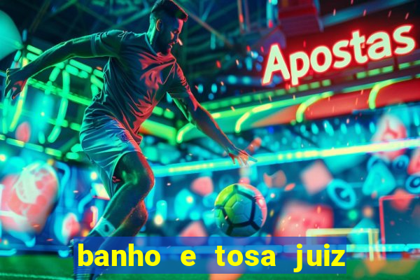 banho e tosa juiz de fora